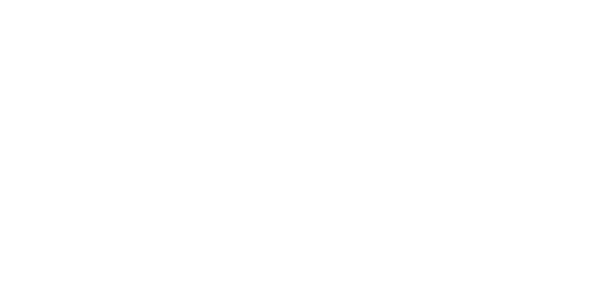 light logo